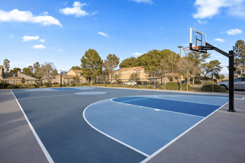Basketball court